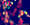 Mini_images