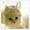 Mini_u1oo3xtnzs_1582